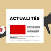 Lettre d&rsquo;information n°11 – novembre 2025